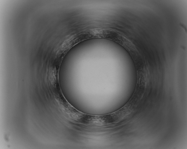 X0000100220702200806061345