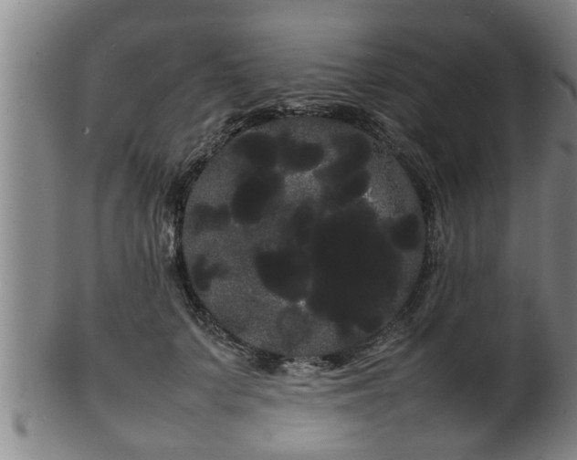 X0000100220703200806061345