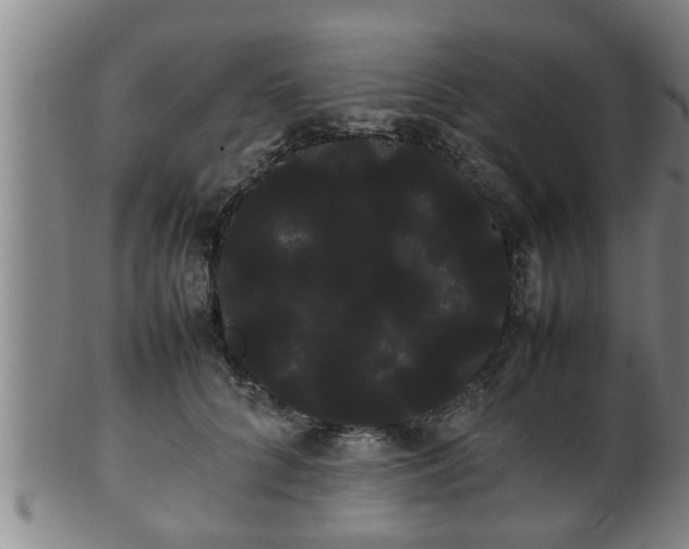 X0000100220704200806061345