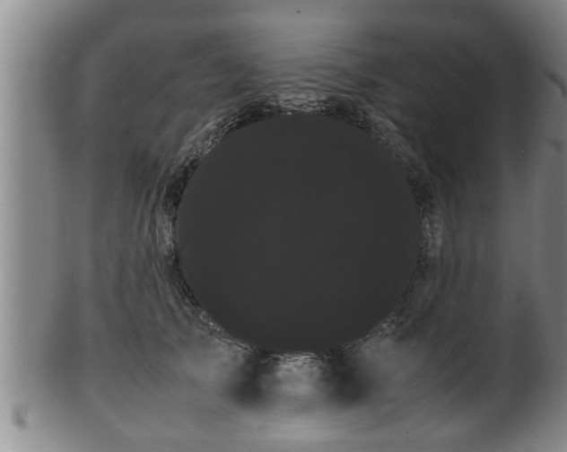 X0000100220705200806061345