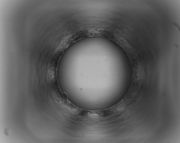 X0000100220706200806061345