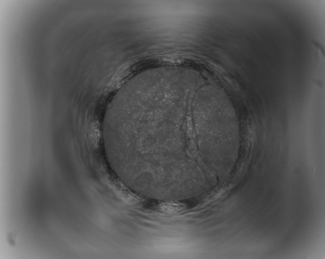 X0000100220707200806061345