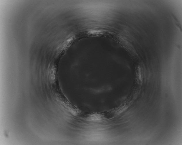 X0000100220708200806061345