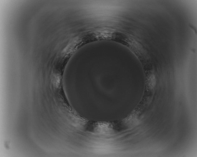 X0000100220709200806061345