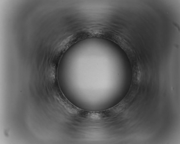 X0000100220710200806061345