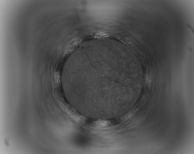 X0000100220711200806061345