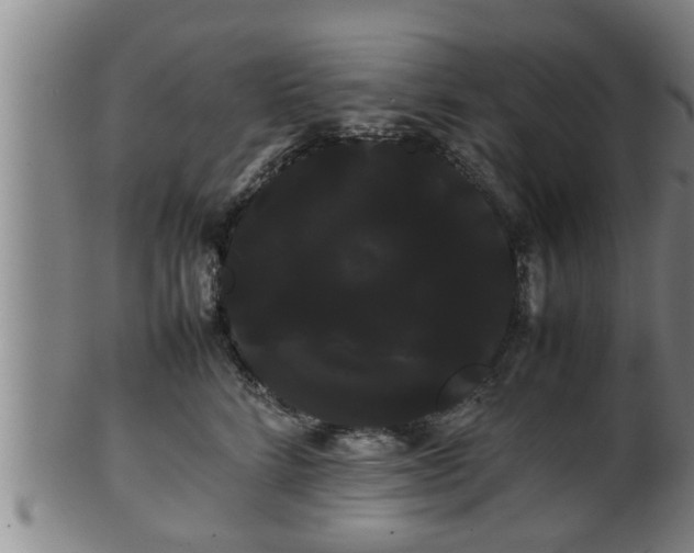 X0000100220712200806061345