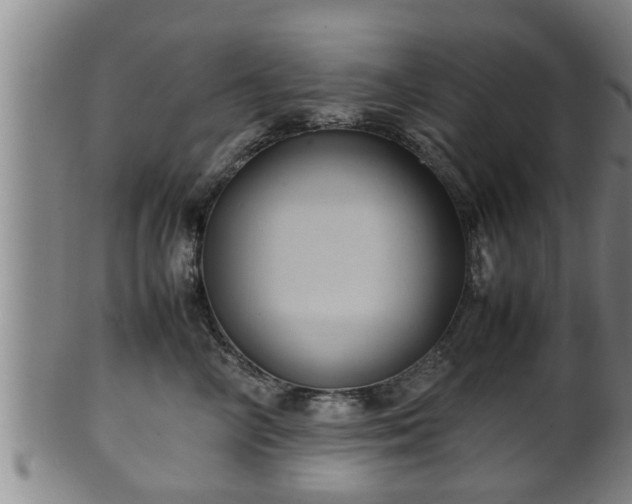 X0000100220714200806061345