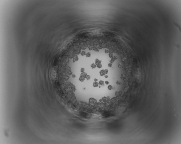 X0000100220715200806061345