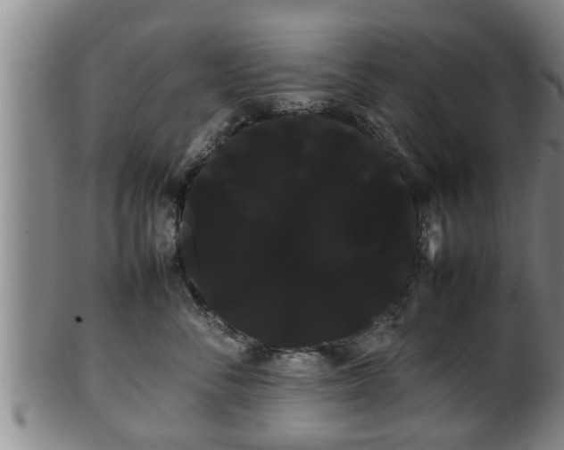 X0000100220716200806061345