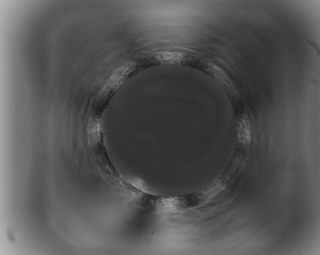 X0000100220717200806061345