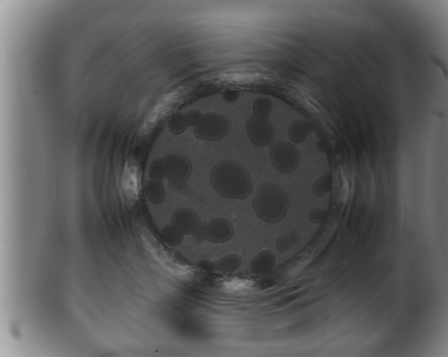 X0000100220718200806061345