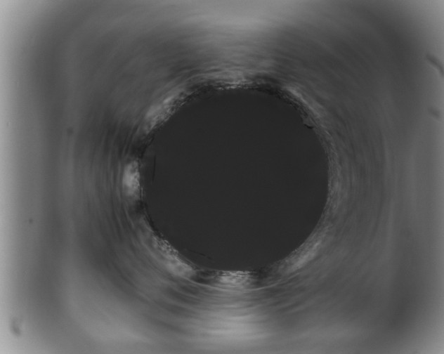 X0000100220720200806061345