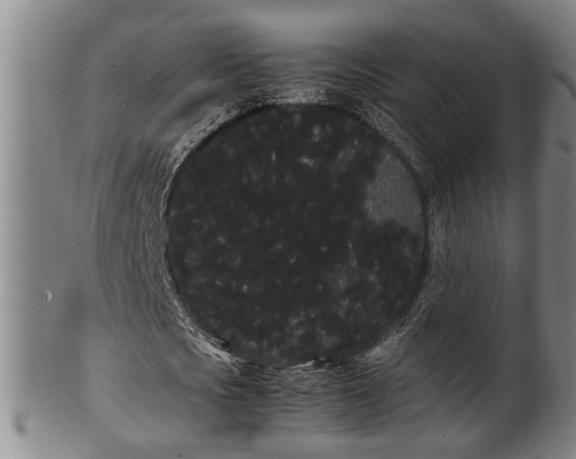 X0000100220721200806061344