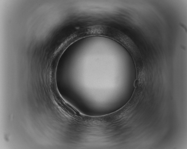 X0000100220722200806061344