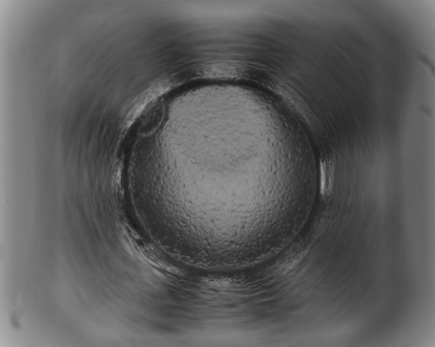 X0000100220723200806061344