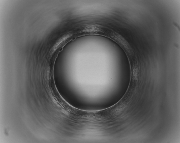 X0000100220724200806061344