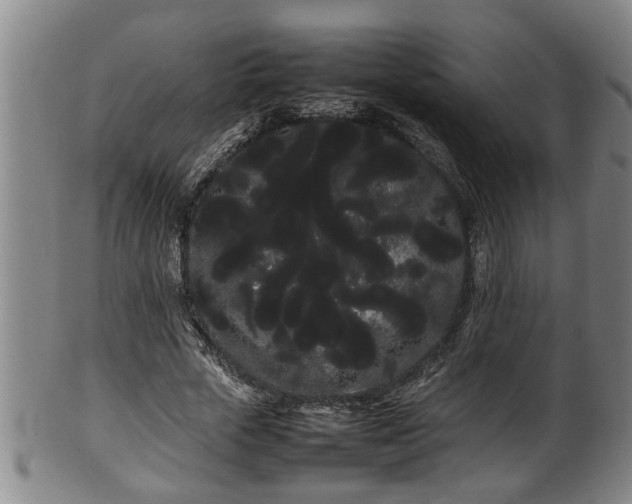 X0000100220729200806061344