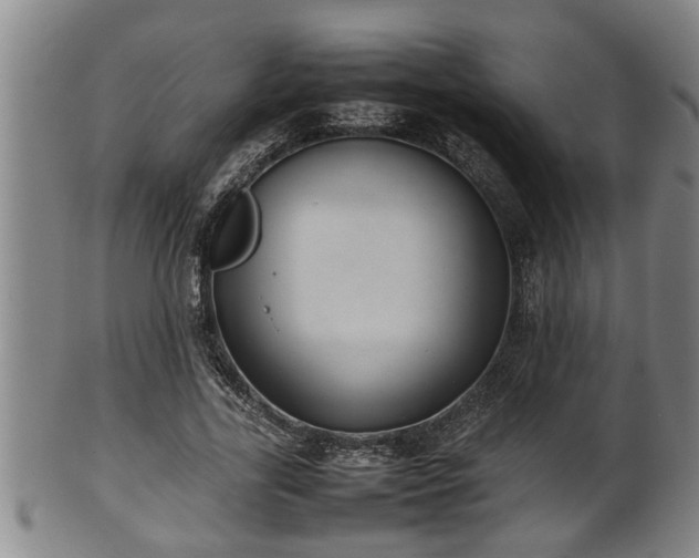 X0000100220731200806061344