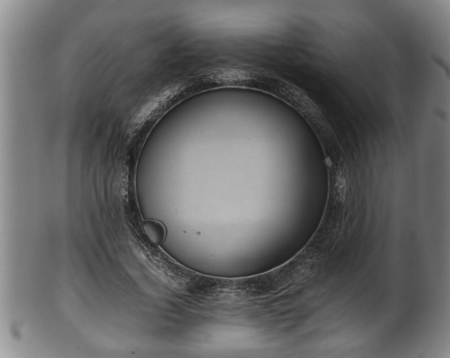 X0000100220732200806061344