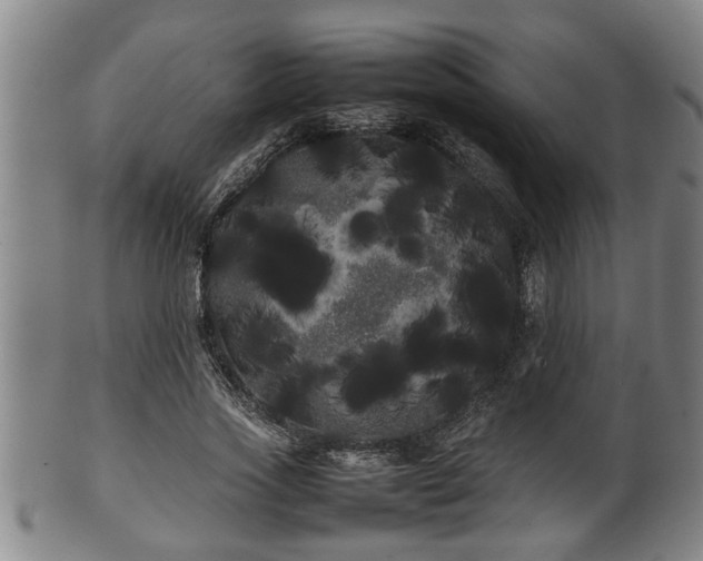 X0000100220733200806061344