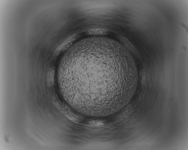 X0000100220735200806061344