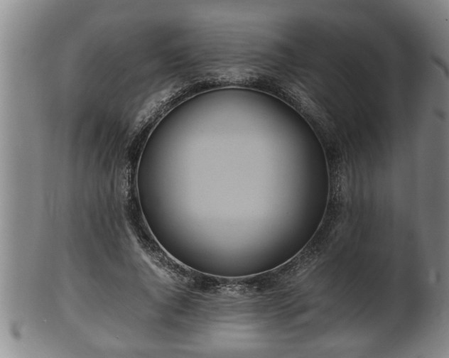 X0000100220736200806061344