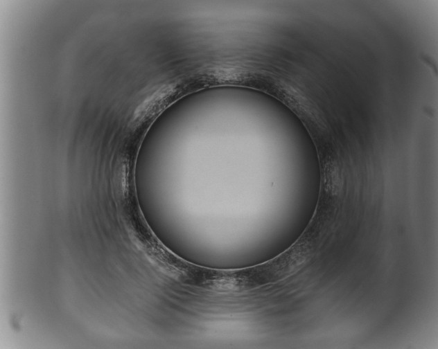 X0000100220740200806061344