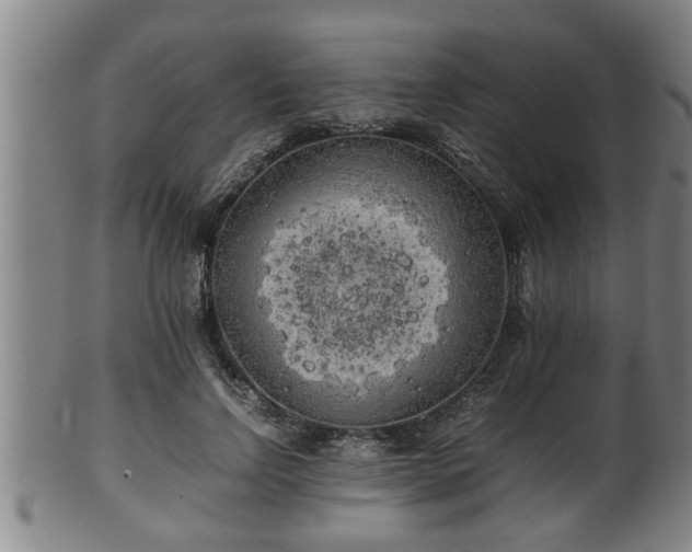 X0000100220742200806061344