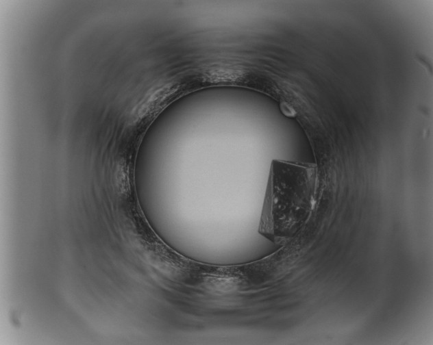 X0000100220743200806061344