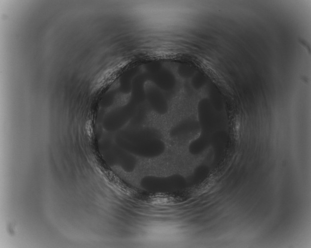 X0000100220746200806061344