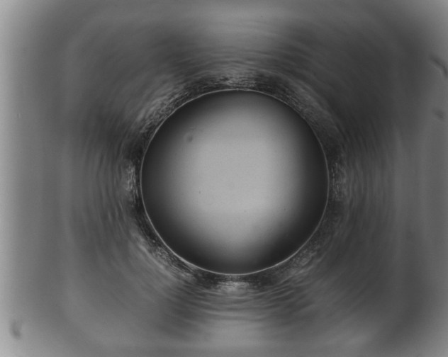 X0000100220748200806061344