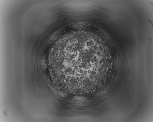 X0000100220749200806061344