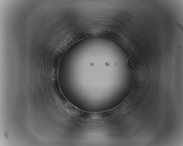 X0000100220750200806061344