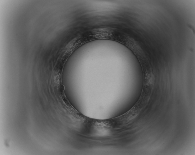 X0000100220753200806061344