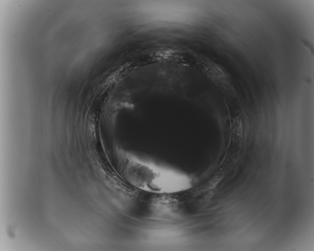 X0000100220754200806061344