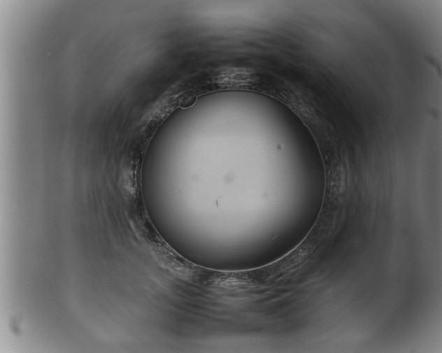 X0000100220755200806061344