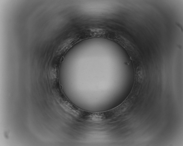 X0000100220756200806061344