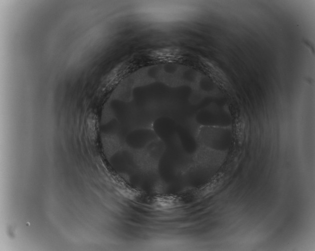 X0000100220757200806061344