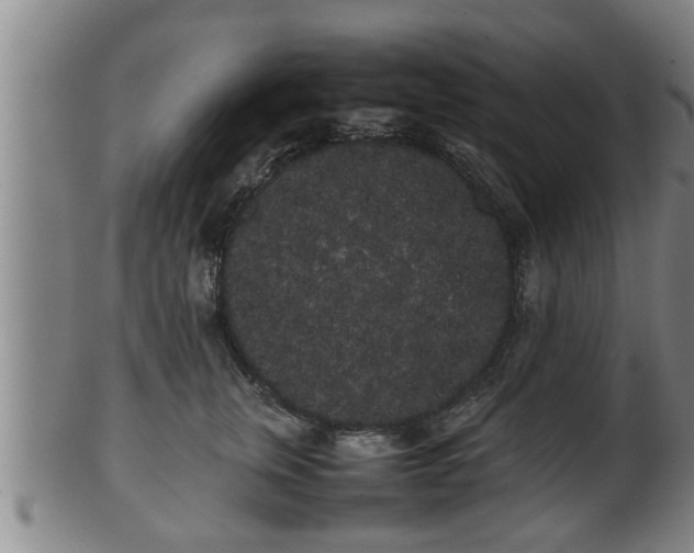 X0000100220759200806061344