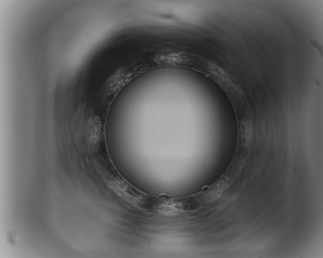 X0000100220760200806061344