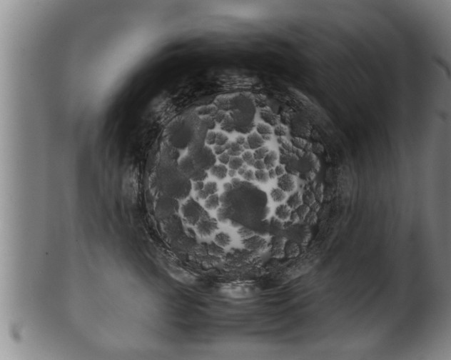 X0000100220761200806061344