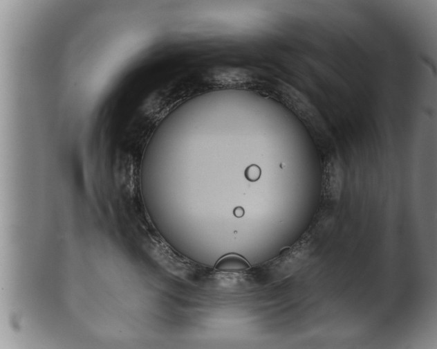 X0000100220762200806061344