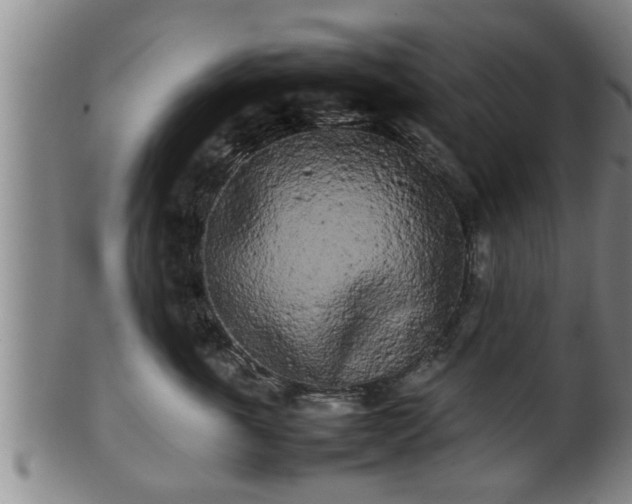 X0000100220763200806061344