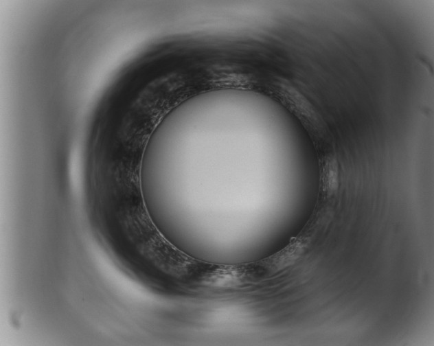 X0000100220764200806061344