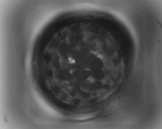 X0000100220765200806061345