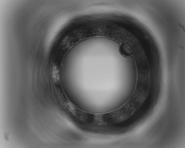 X0000100220766200806061345