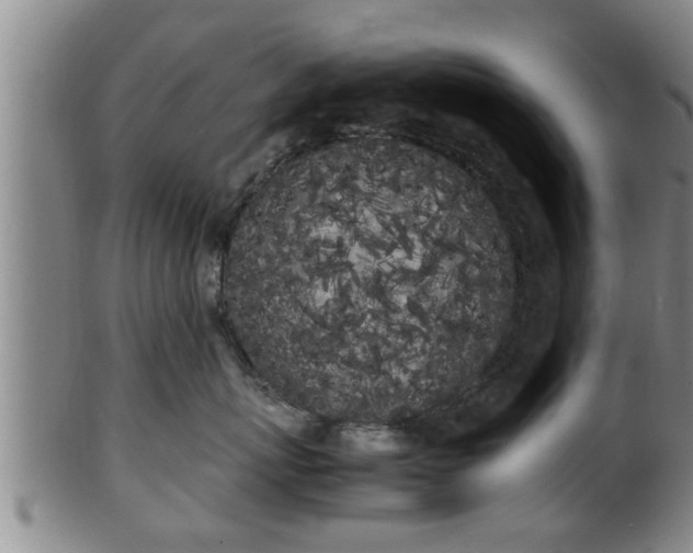 X0000100220767200806061345
