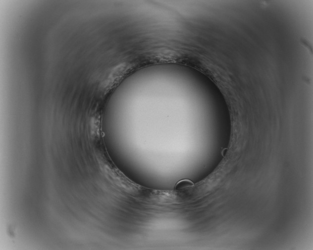 X0000100220768200806061345