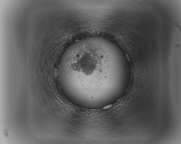 X0000100220769200806061344